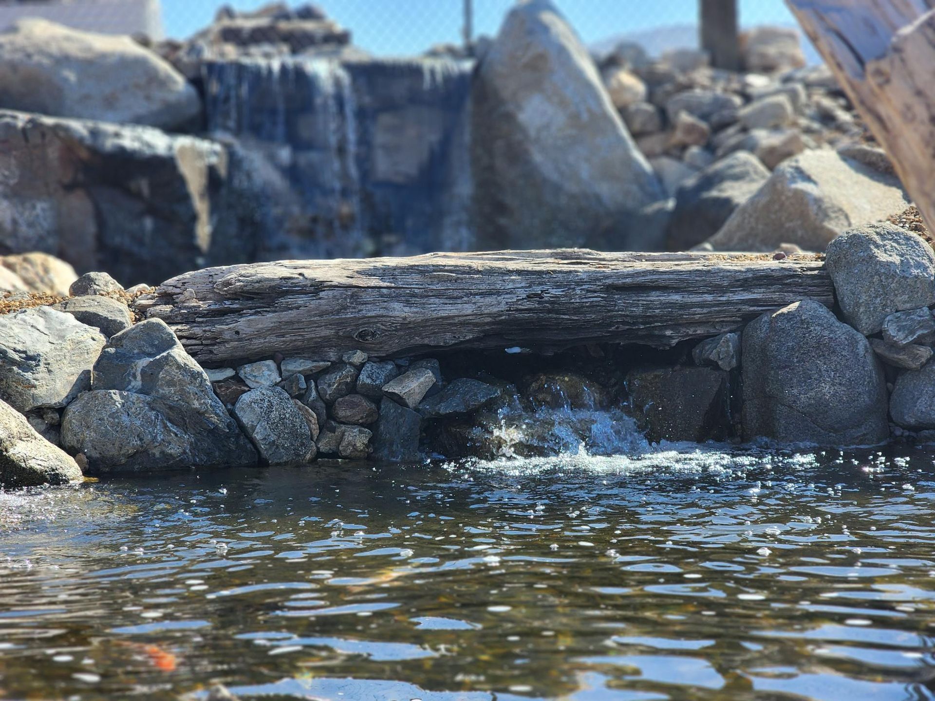 A log is sitting in the middle of a pond next to a waterfall.