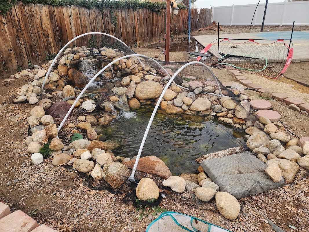 A pond surrounded by rocks and a fountain in a backyard.