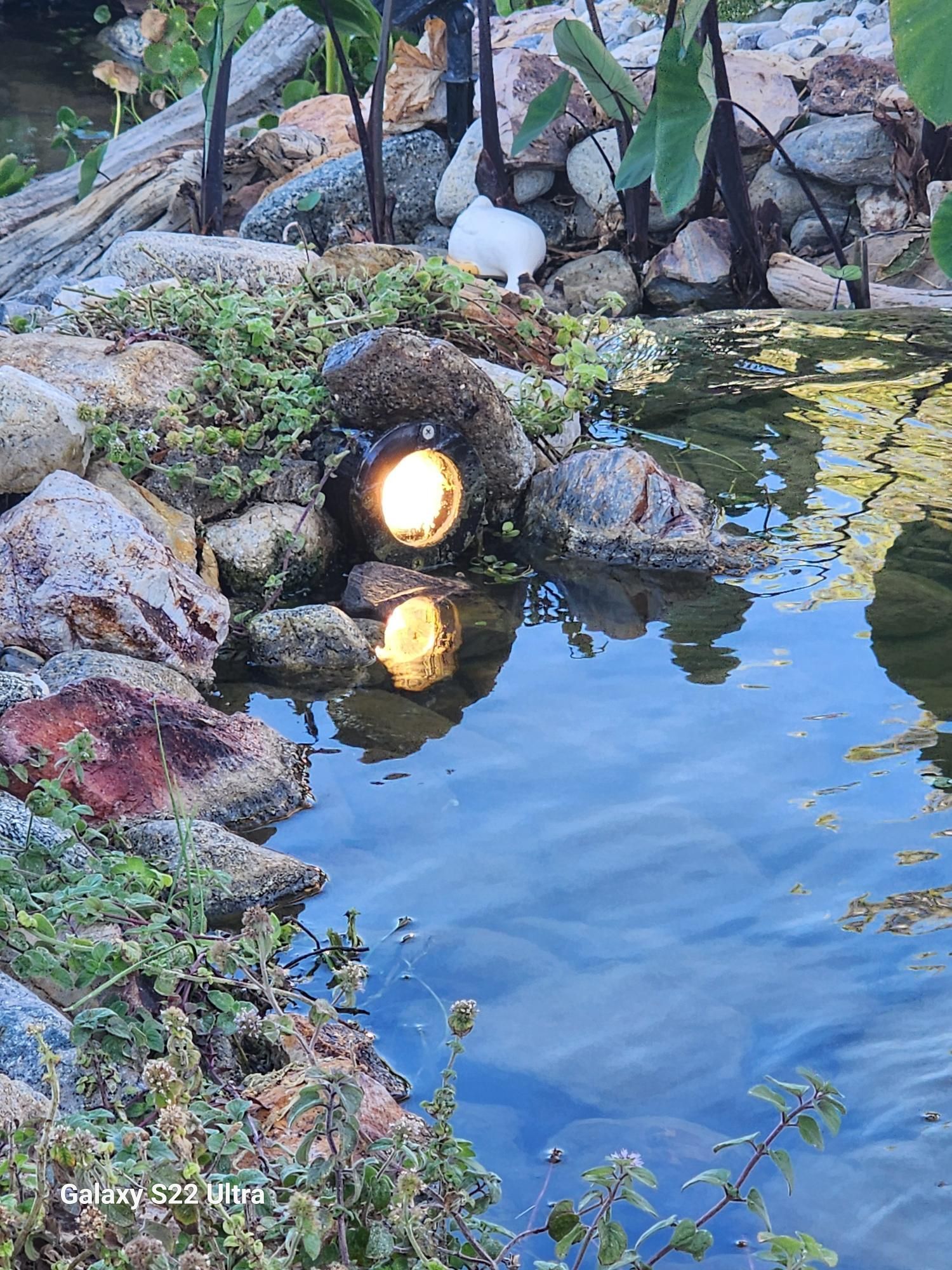 A pond with rocks and a light in the water.