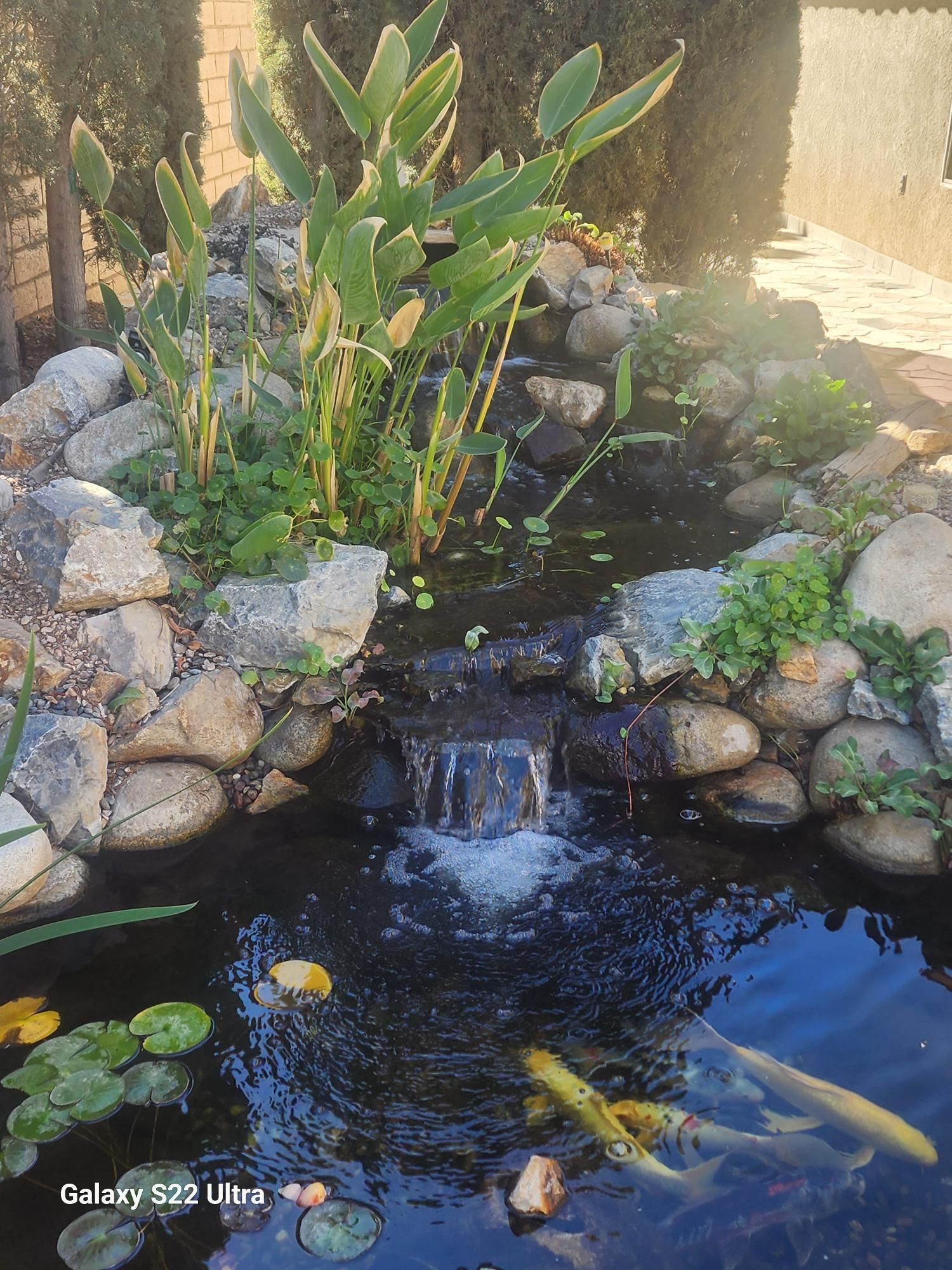 A pond with a waterfall and fish in it.