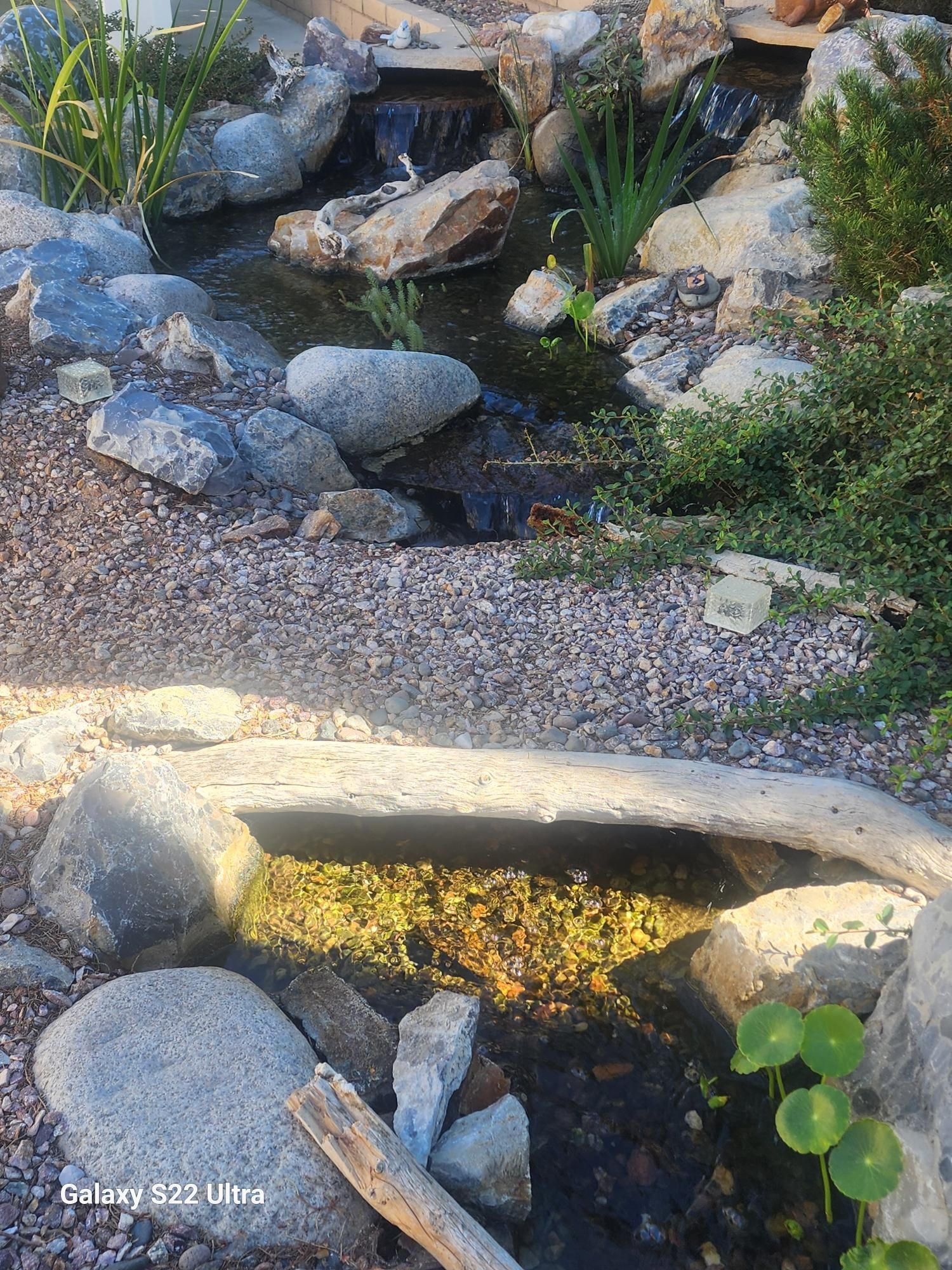 A pond surrounded by rocks and plants with a waterfall in the background.