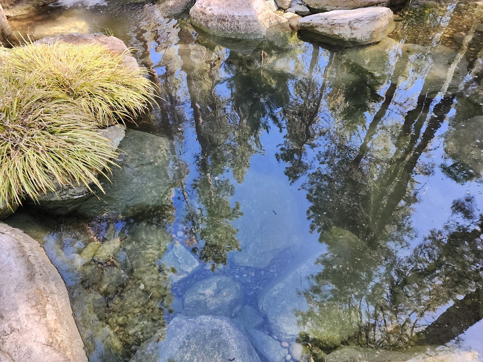 A pond with rocks and trees reflected in the water.