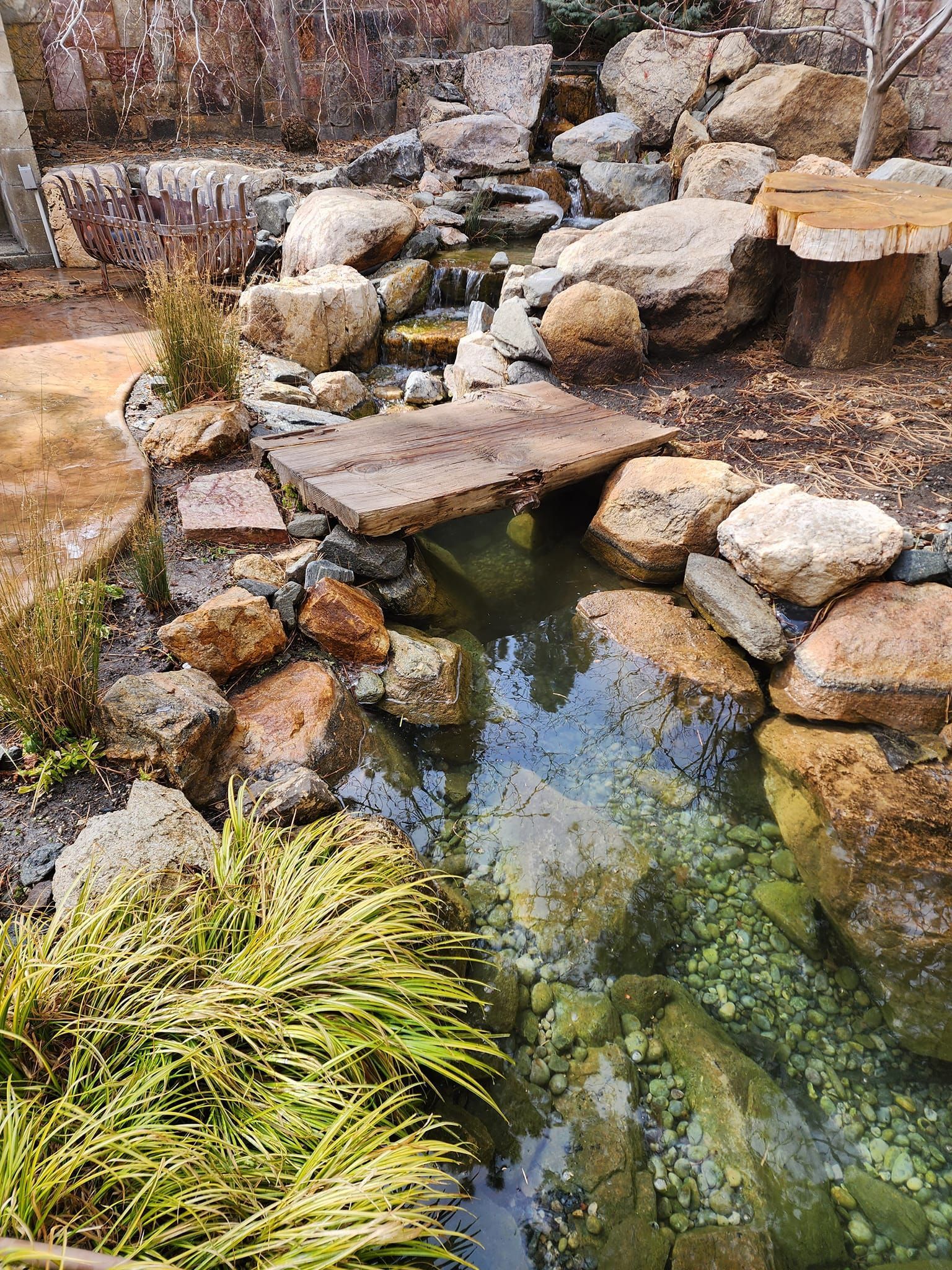 A pond surrounded by rocks and plants in a garden.