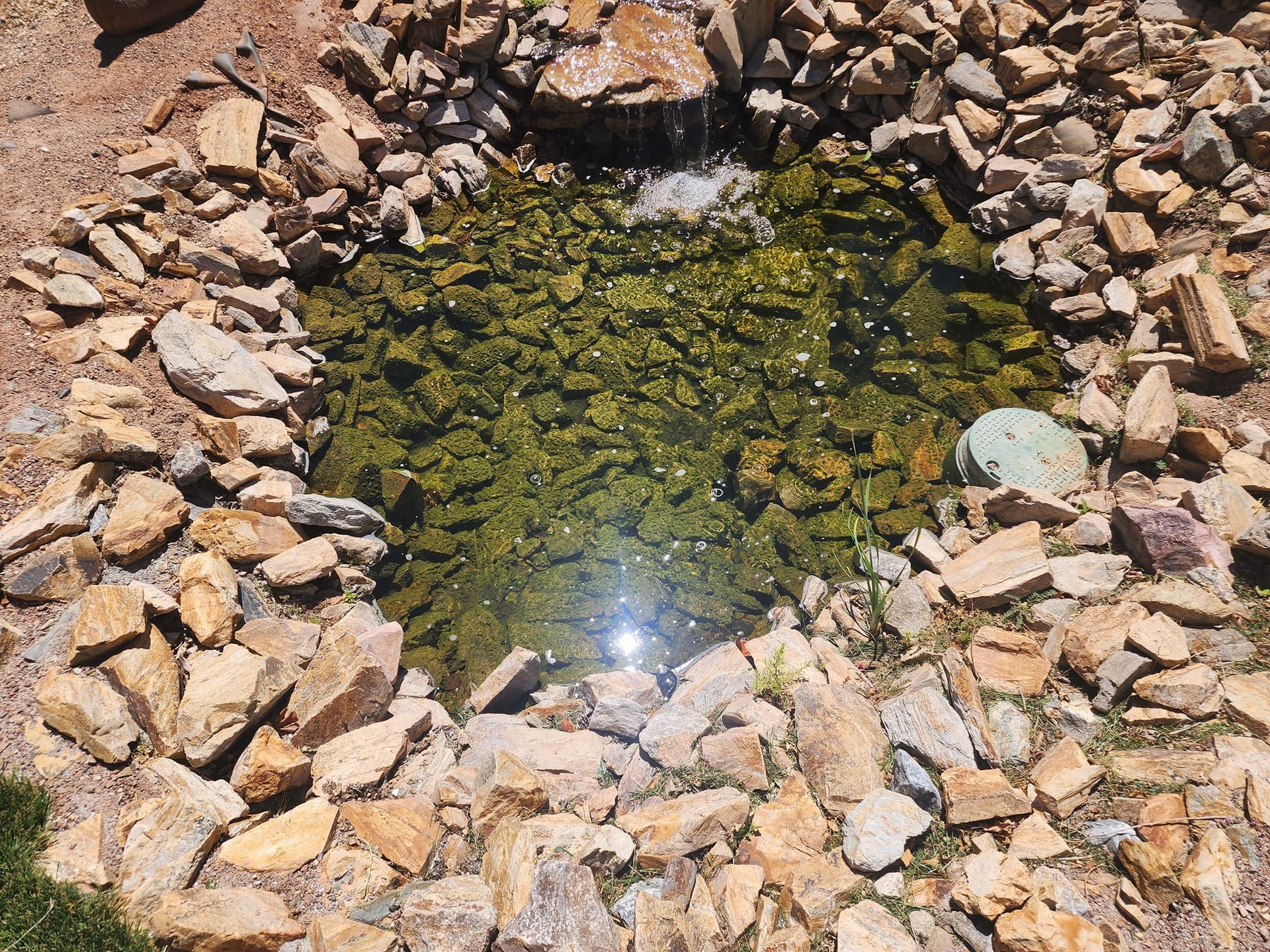 A small pond surrounded by rocks and grass with a waterfall in the background.