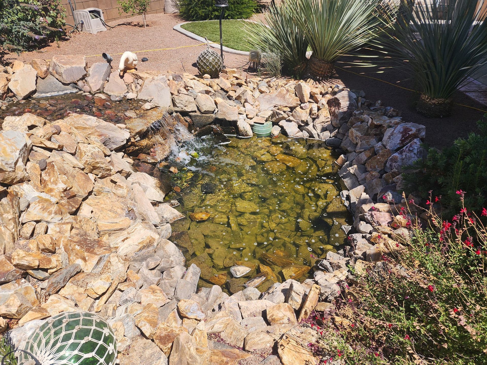 A small pond surrounded by rocks and plants in a garden.