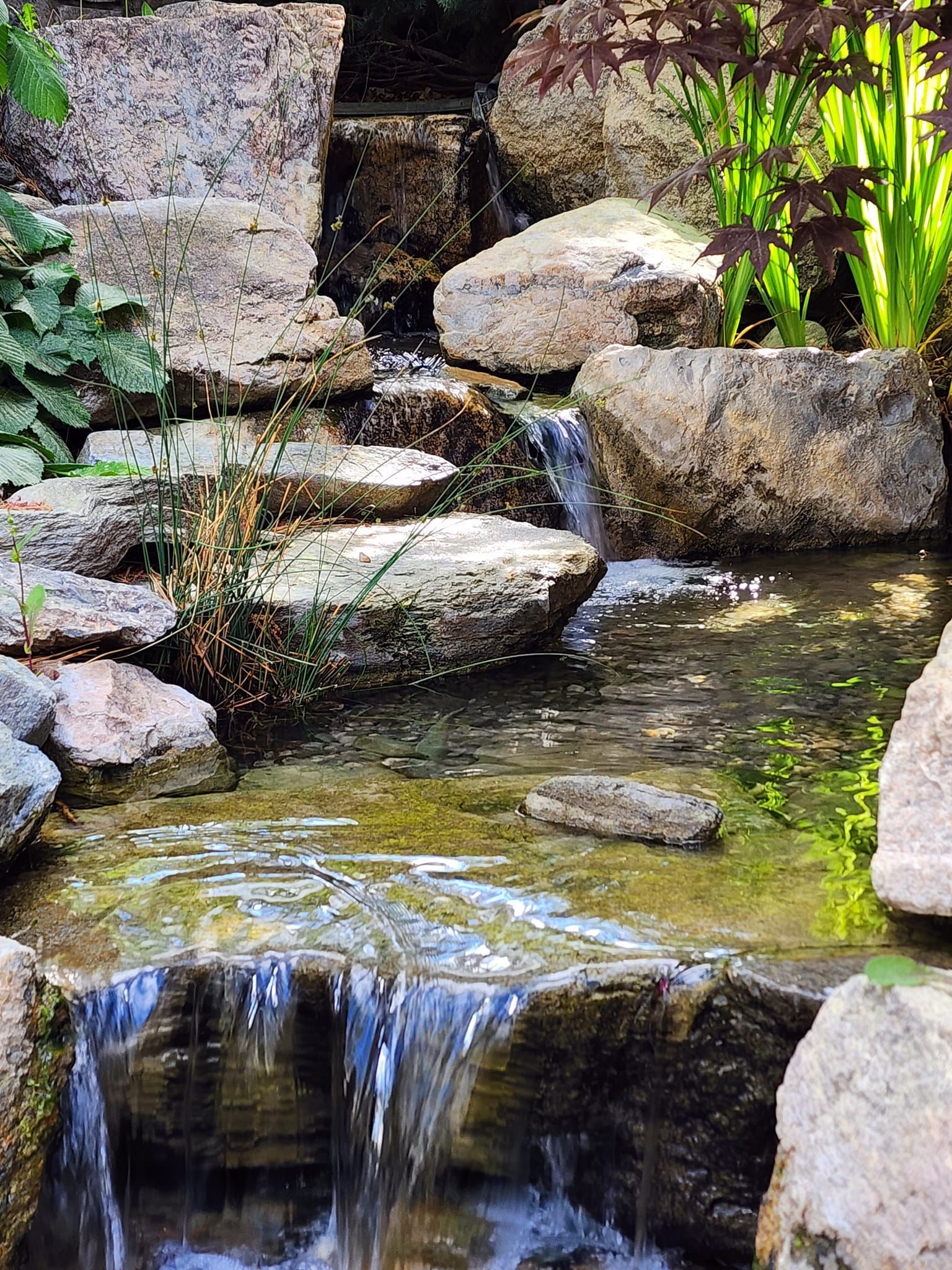 A small waterfall is surrounded by rocks and plants in a garden.