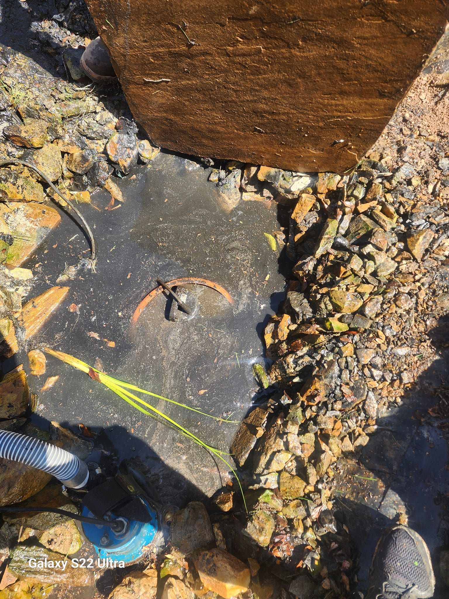A close up of a rock in a pond with a frog in it.