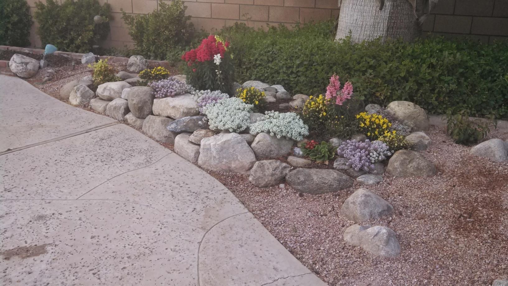 A garden with rocks and flowers along a sidewalk