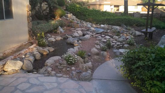 A pond surrounded by rocks and plants in front of a house.