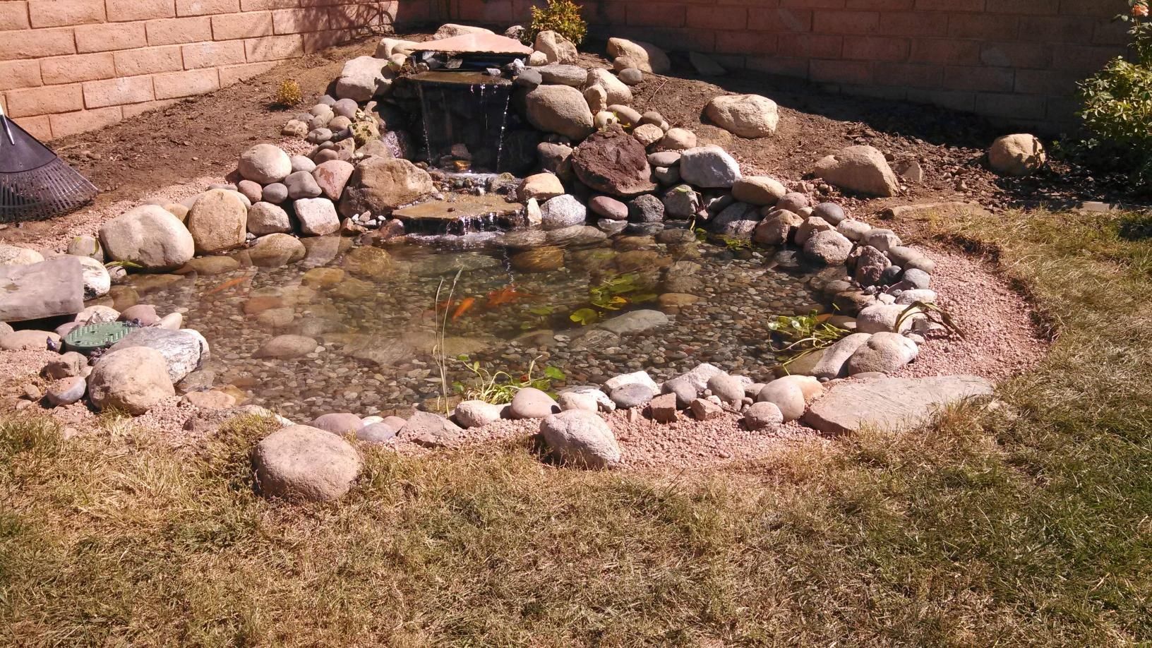 A pond surrounded by rocks and grass with a waterfall in the background.