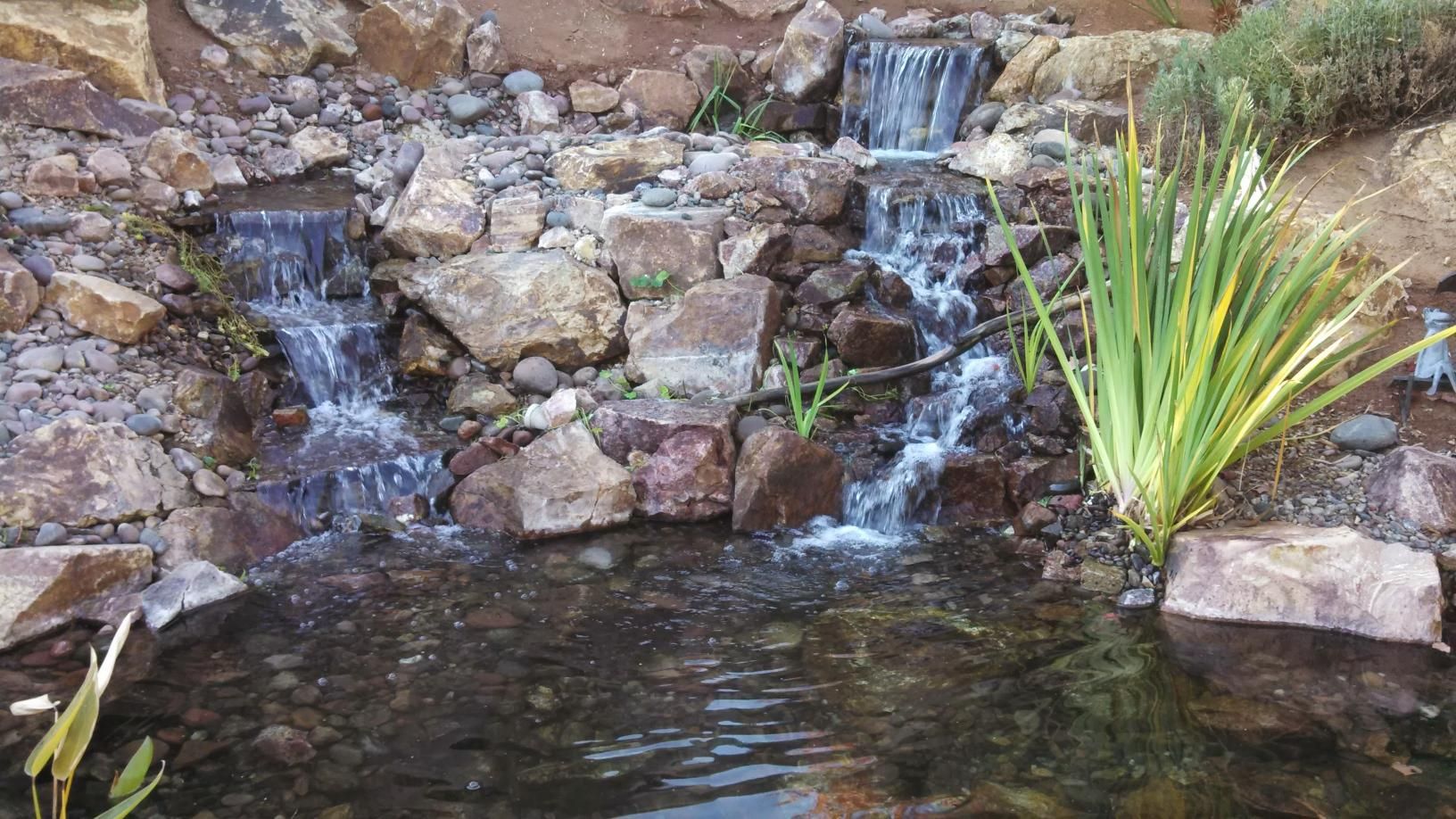 A small waterfall is surrounded by rocks and plants in a pond.