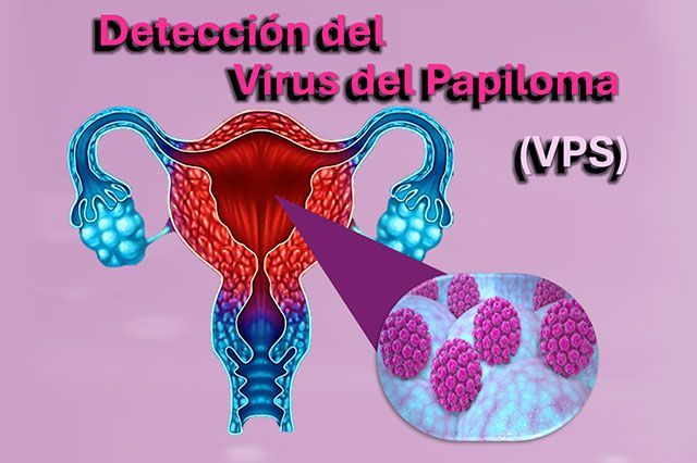 DE LA ROSA HERNANDEZ SUSANA DRA.