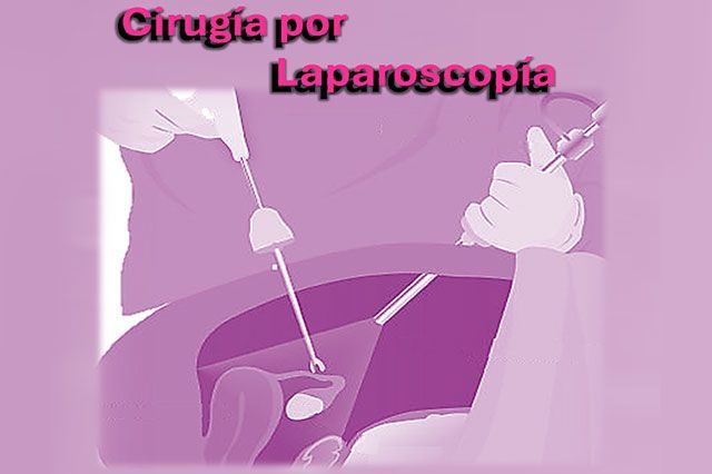 DE LA ROSA HERNANDEZ SUSANA DRA.