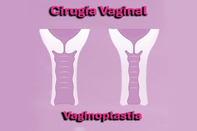 DE LA ROSA HERNANDEZ SUSANA DRA.