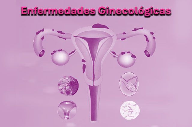 DE LA ROSA HERNANDEZ SUSANA DRA.