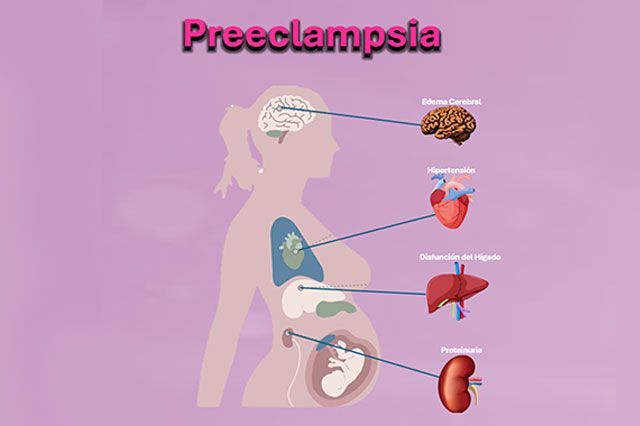 DE LA ROSA HERNANDEZ SUSANA DRA.
