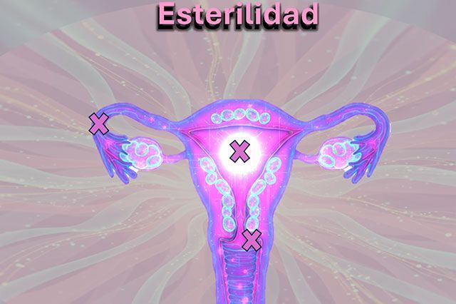 DE LA ROSA HERNANDEZ SUSANA DRA.