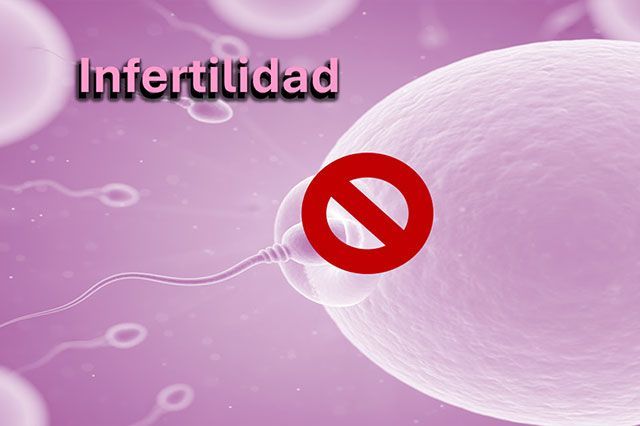 DE LA ROSA HERNANDEZ SUSANA DRA.