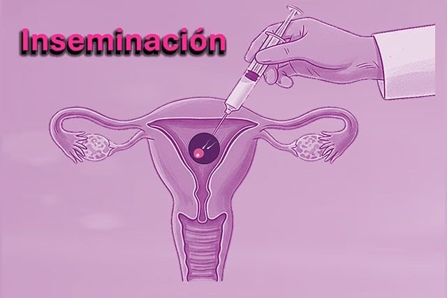 DE LA ROSA HERNANDEZ SUSANA DRA.