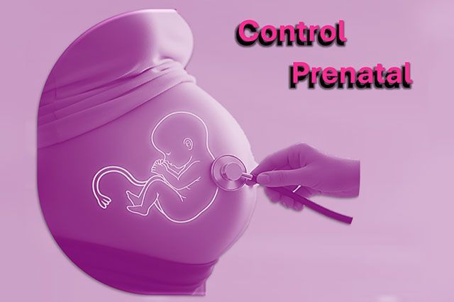 DE LA ROSA HERNANDEZ SUSANA DRA.