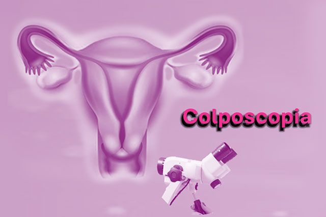 DE LA ROSA HERNANDEZ SUSANA DRA.