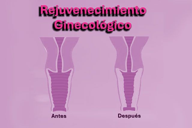 DE LA ROSA HERNANDEZ SUSANA DRA.