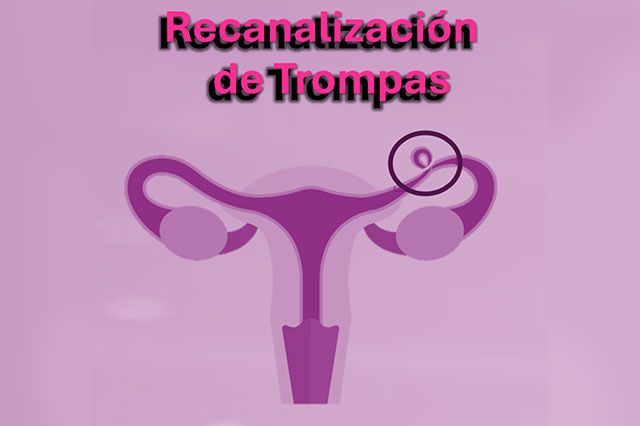 DE LA ROSA HERNANDEZ SUSANA DRA.