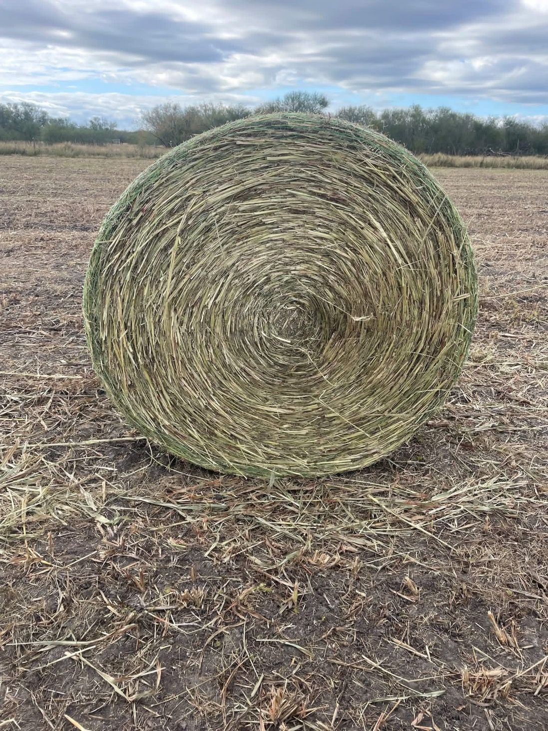 A large bale of hay is sitting on the ground in a field.