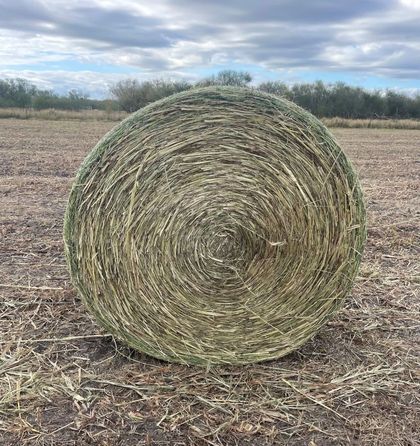 A large bale of hay is sitting in the middle of a field.