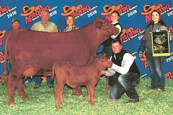 A group of people posing with a cow and a calf