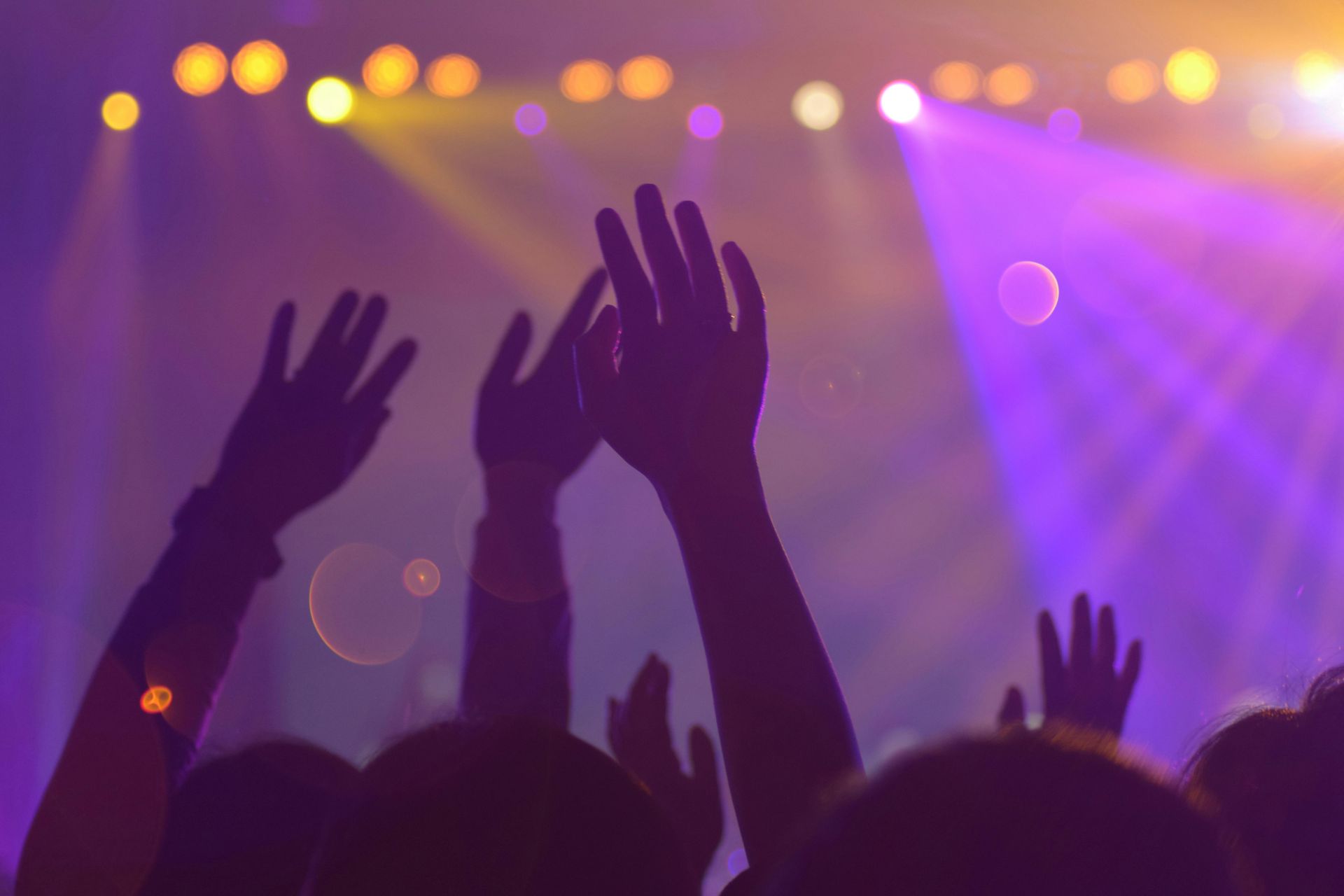 Silhouetted concert crowd with raised hands under purple stage lights