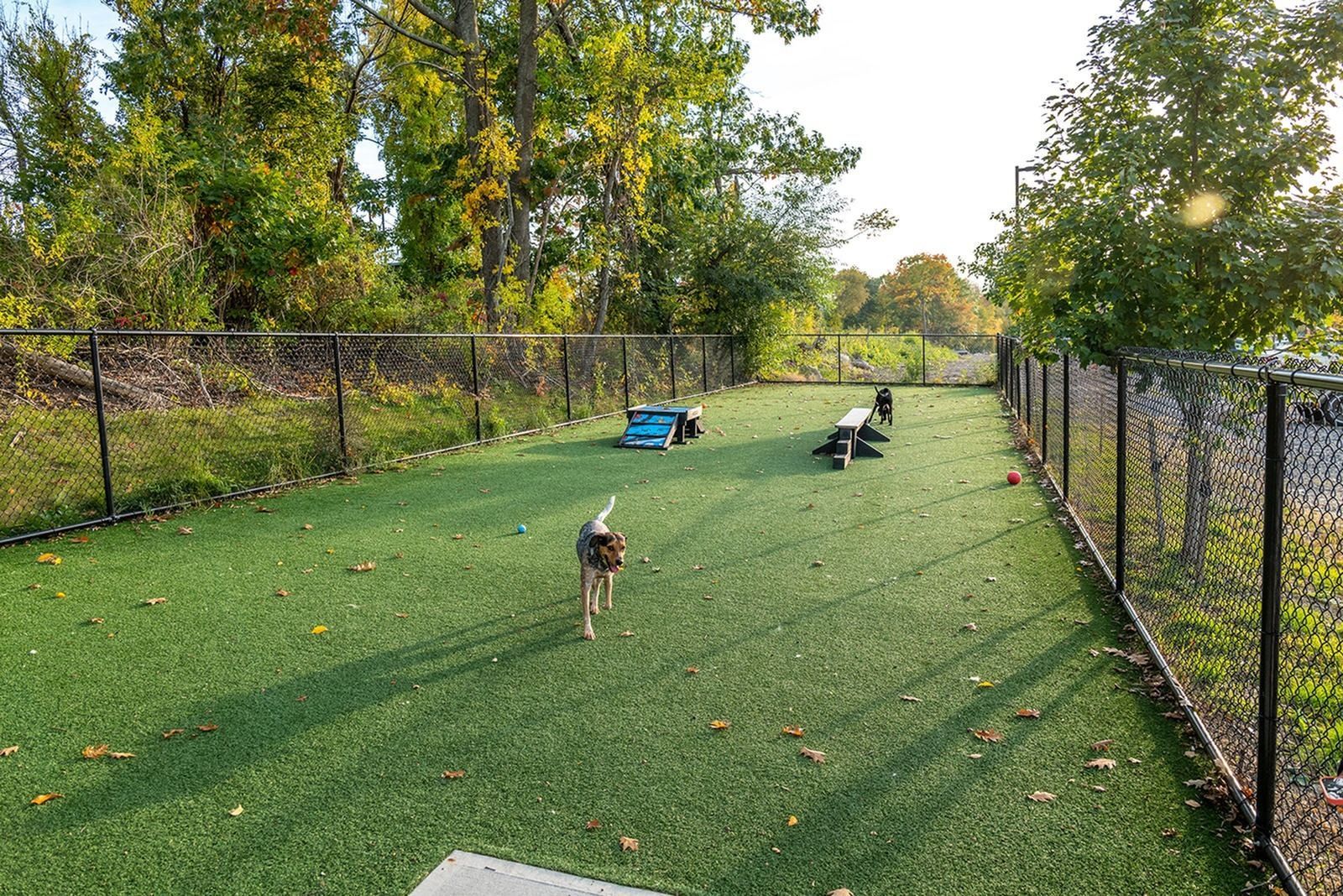 West End Yards pet-friendly apartment community with dog park in Portsmouth, NH.