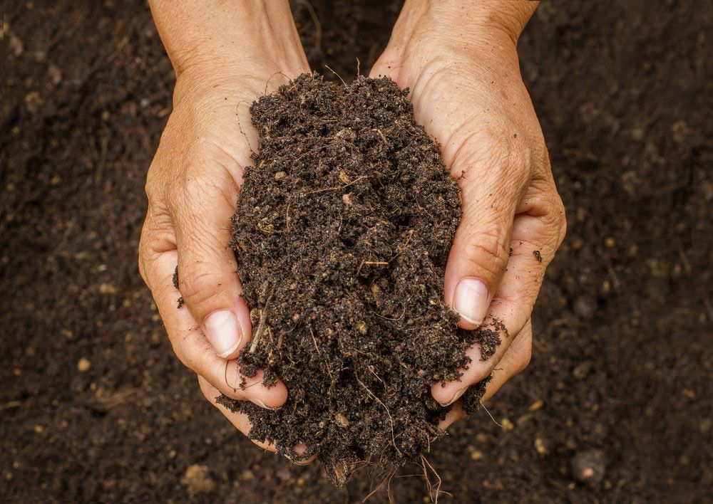 A Person Is Holding A Pile Of Dirt In Their Hands — Mudgeeraba Landscape Centre In Mudgeeraba, QLD