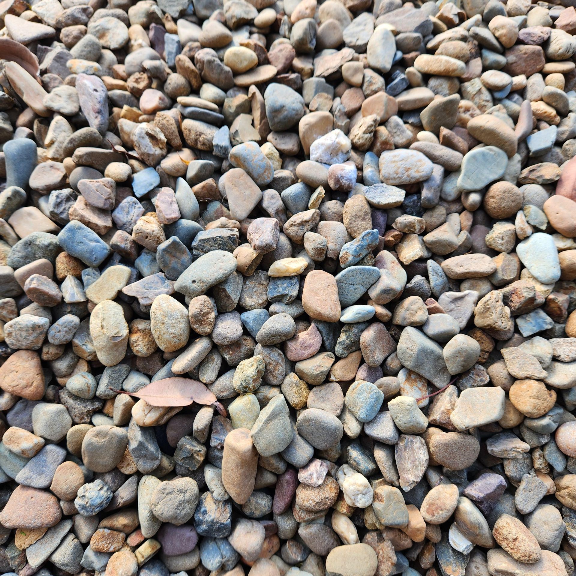 A Stone Walkway Surrounded By Rocks And Plants In A Garden — Mudgeeraba Landscape Centre In Mudgeeraba, QLD