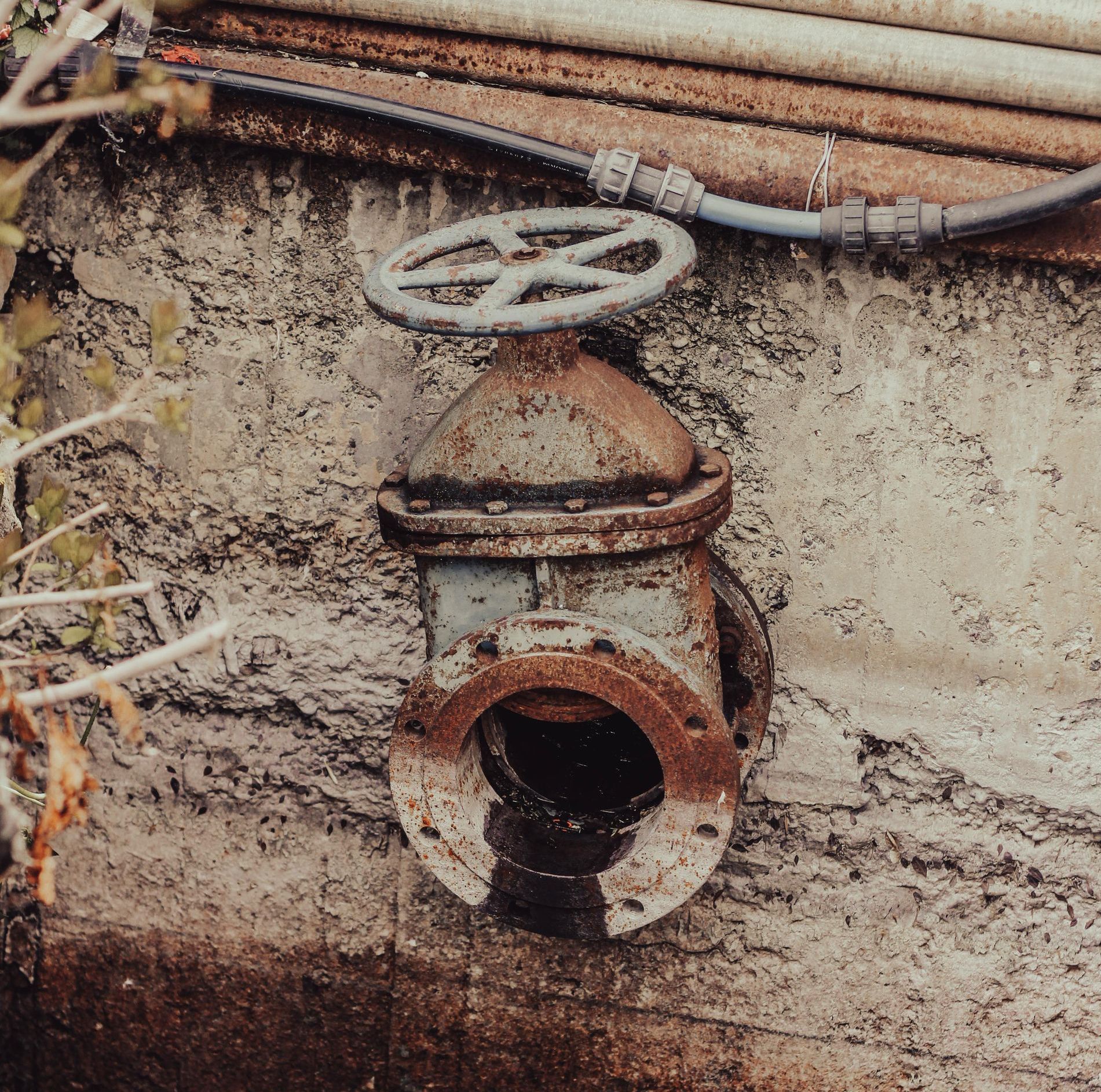 A close up of a rusty valve on a wall.