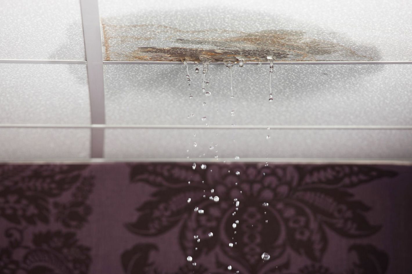 Water leaks from a stained, suspended ceiling tile, dripping onto a patterned, dark purple wallpapered wall below.