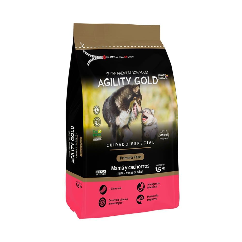 Agility Gold Cachorros Primera Fase