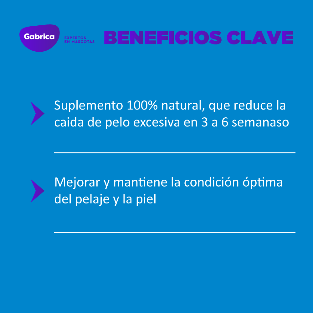 Botella de champú para perros Shed-X. Botella amarilla con la imagen de un perro y el texto