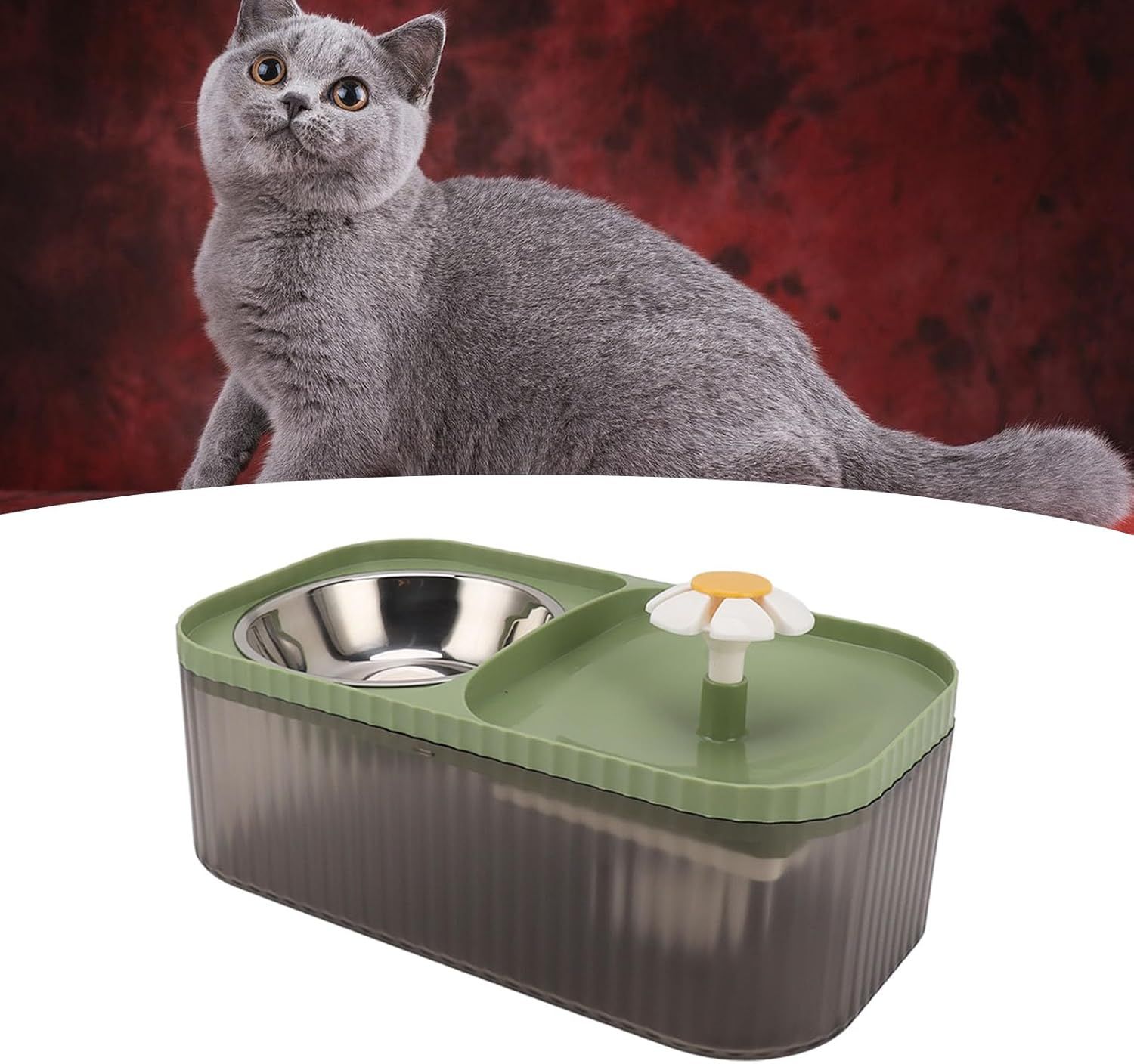 Gato gris mirando hacia arriba por encima de una fuente de agua para mascotas verde y gris.