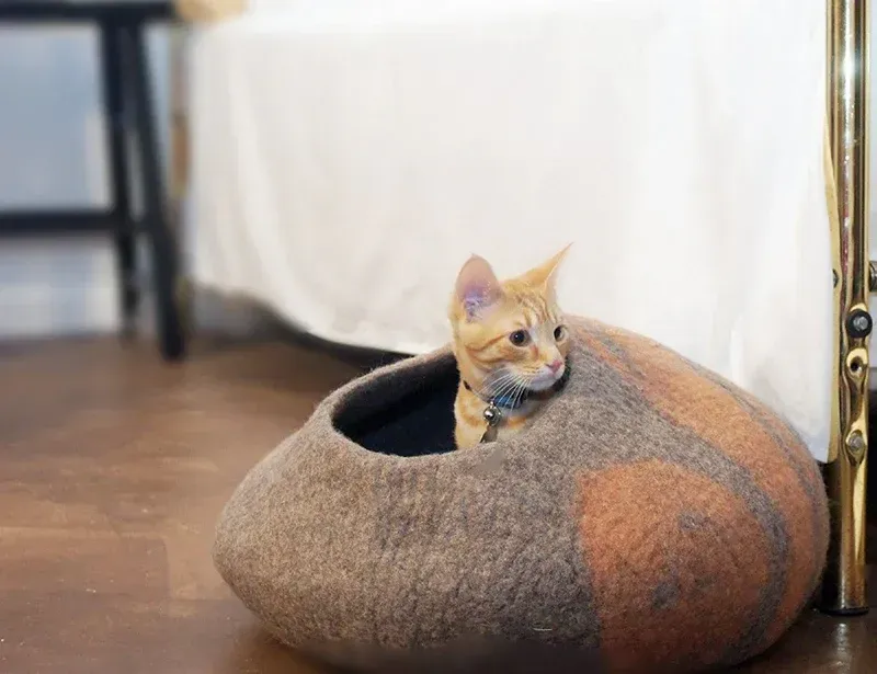 Gato atigrado de color naranja en una cama para gatos de fieltro marrón, mirando hacia un lado.