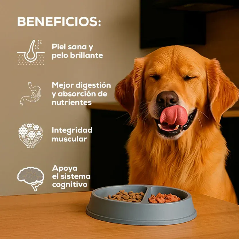 Grand Vita  para perros adultos sabor a Cordero