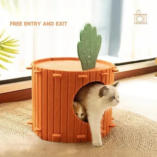 Un gato se asoma desde una caseta naranja con un cactus encima. Otro gato está dentro de la casa.