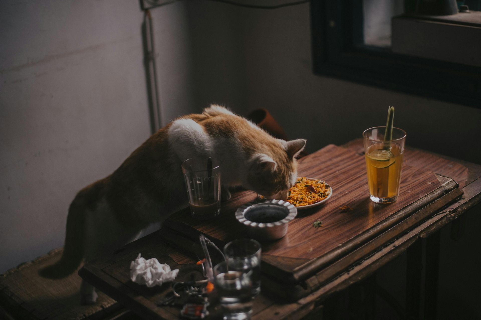 Gato naranja comiendo de un cuenco sobre una mesa de madera con una bebida en un vaso.