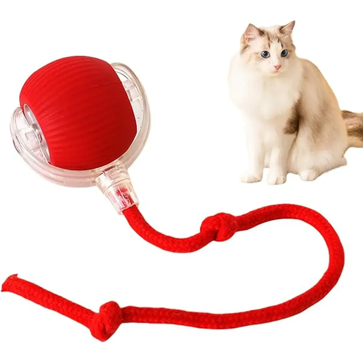 Juguete para gato: pelota roja con cuerda, al lado de un gato peludo.