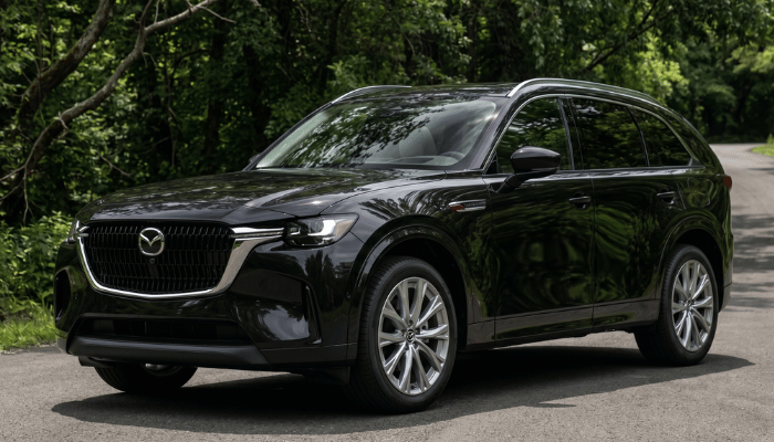 Mazda Service Repair and Maintenance