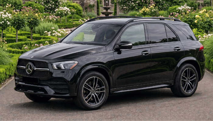 Mercedes-Benz Repair and Preventive Maintenance