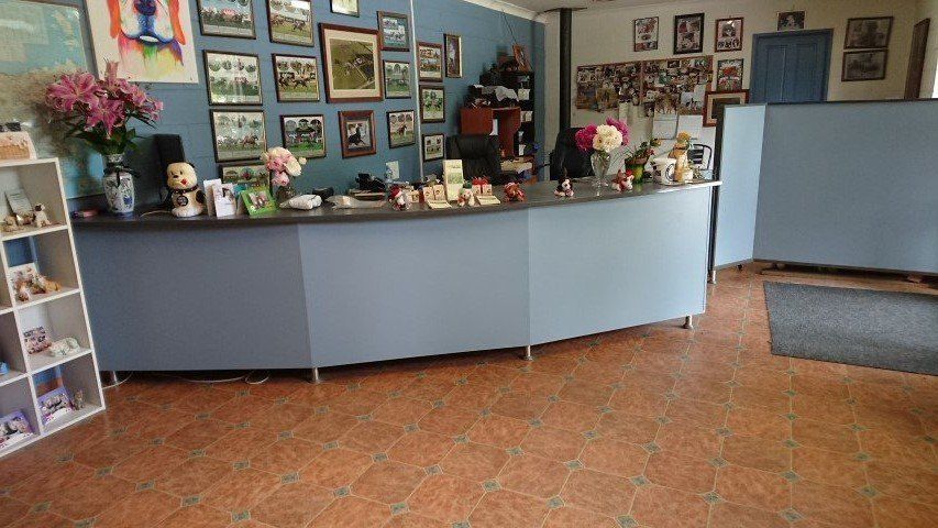 Veterinary Clinic in Longford Clinic Reception Area