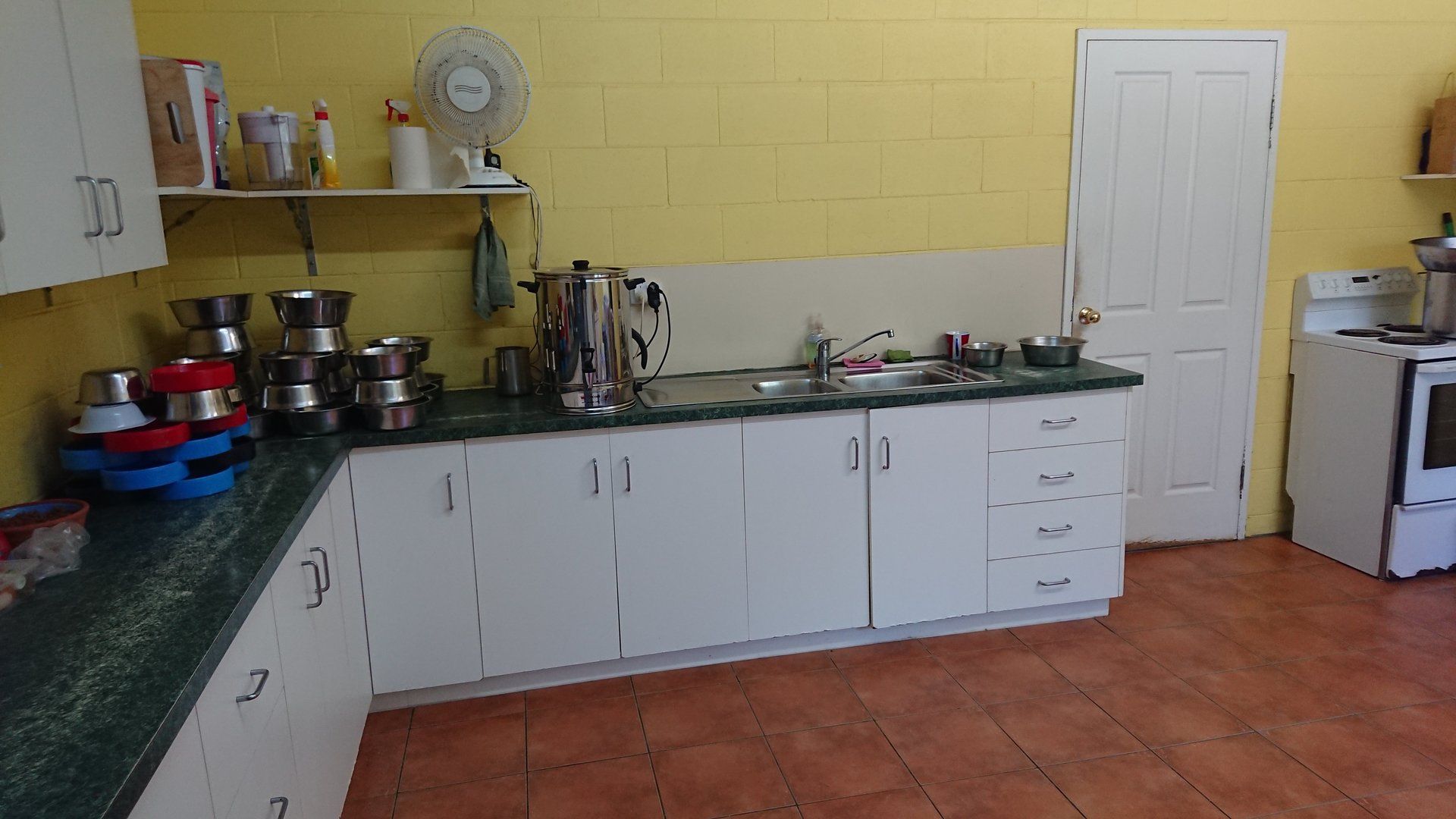 dog grooming services