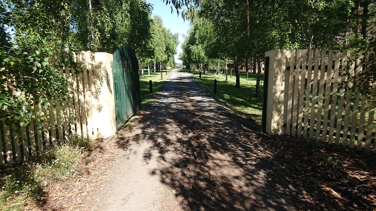 pet boarding in longford