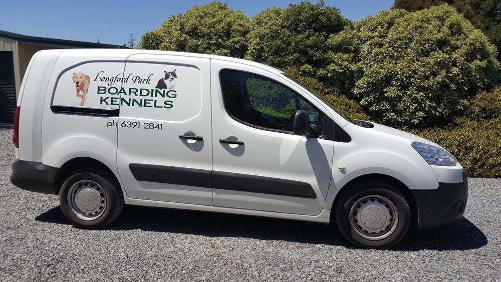 mobile pet grooming services
